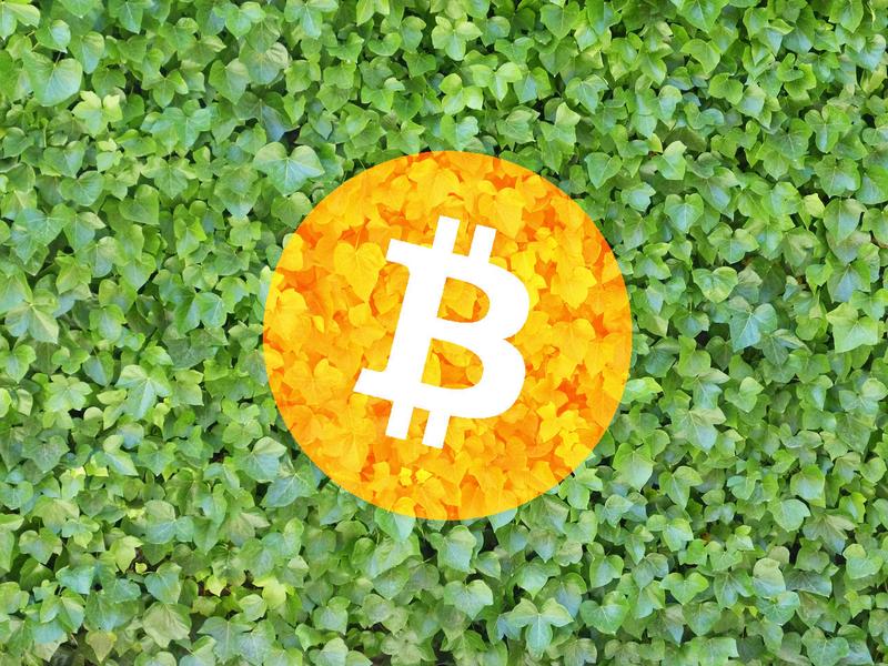 Ökologisierung von Bitcoin mit Anreizkompensationen